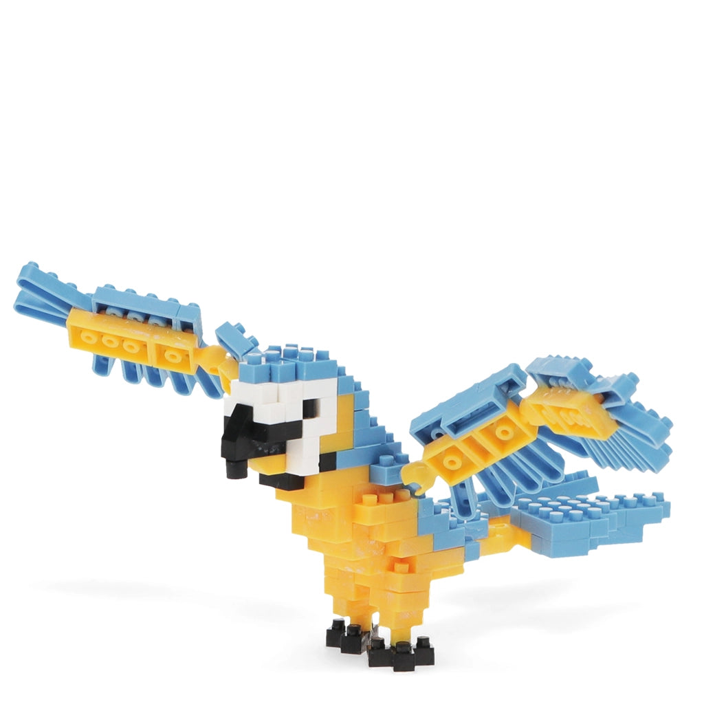 Build Your Own Animal Model Brick Kit - Macaw