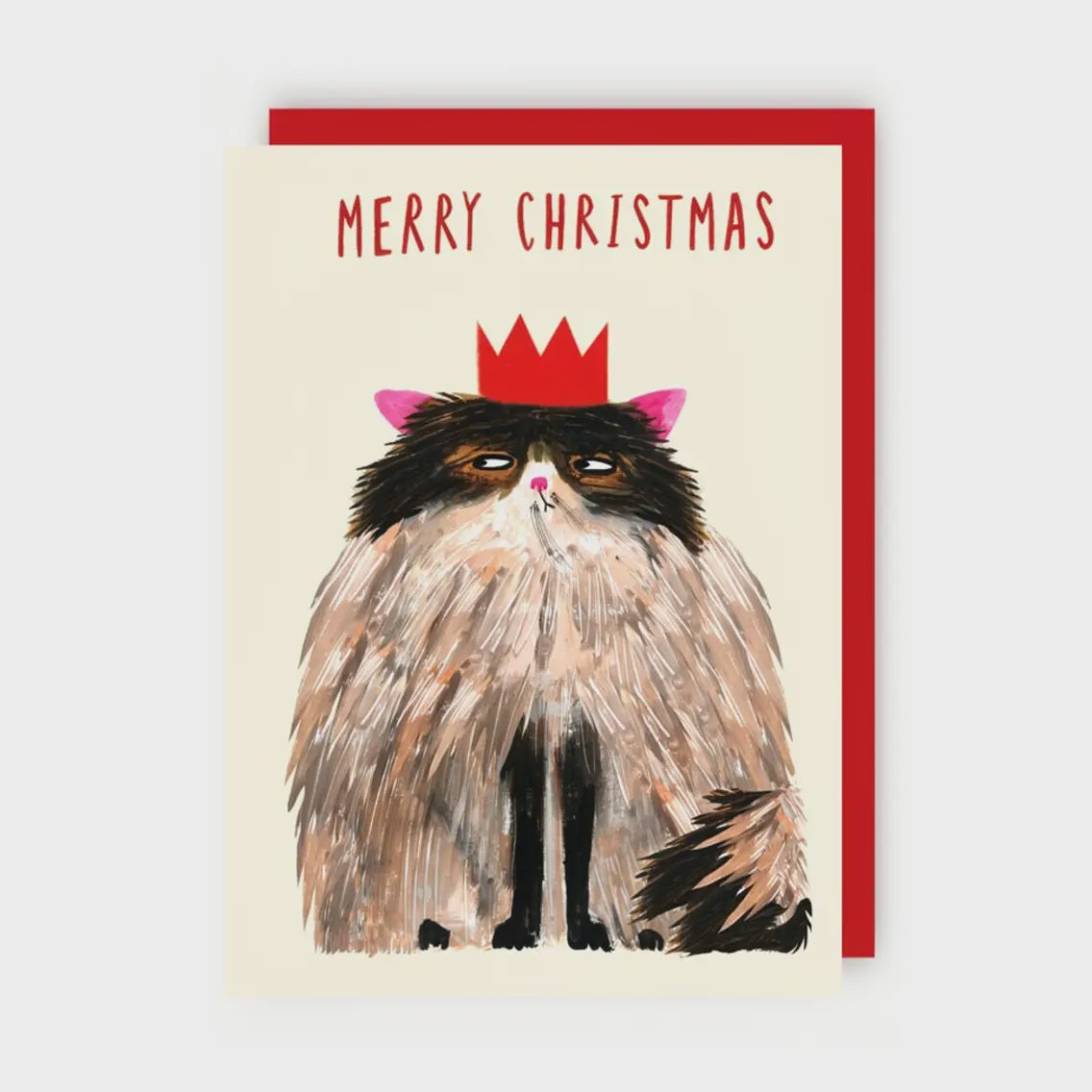 Funny Cat Hat Christmas Card | Funny Animal Christmas Card