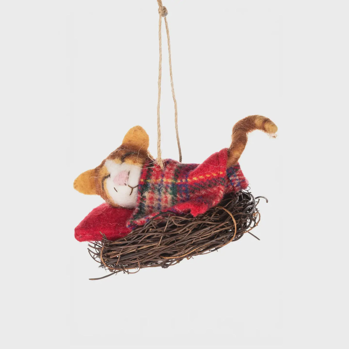 Kitty in A Nest with Tartan Blanket