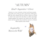 Wrendale Regular Fox- 'Autumn'