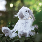 Wrendale Plush Toy Regular Rabbit - Rosie