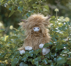 Wrendale Regular Plush Highland Cow - Gordon