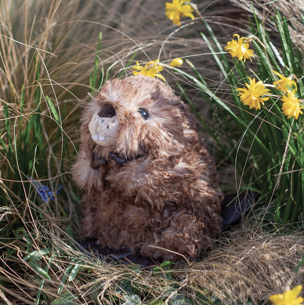 Wrendale Chester Beaver Medium Plush