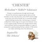 Wrendale Chester Beaver Medium Plush