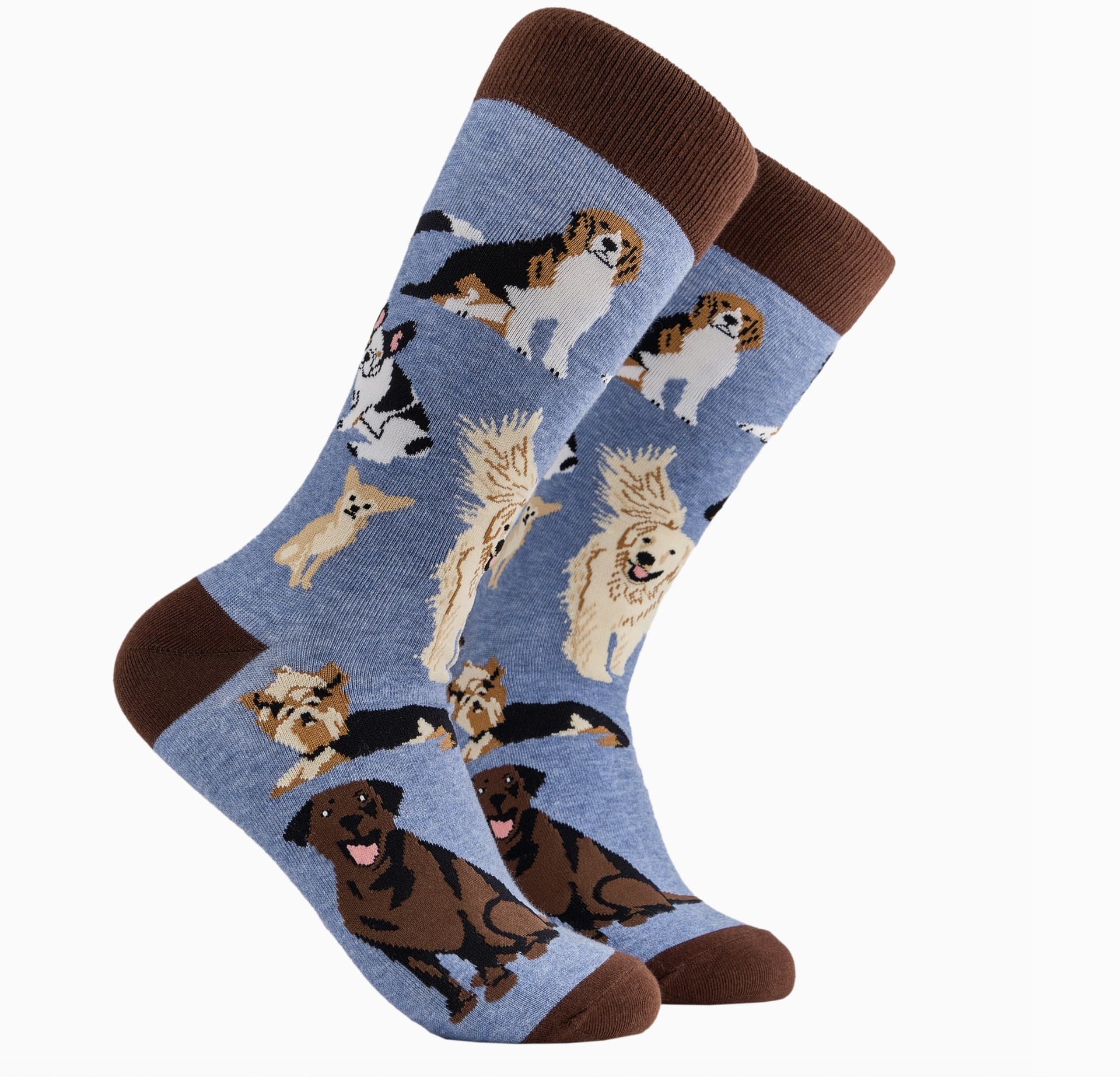 Dog Lover 2 Socks-Blue/ S