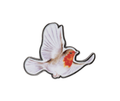 Wrendale Flying Robin Pin Badge