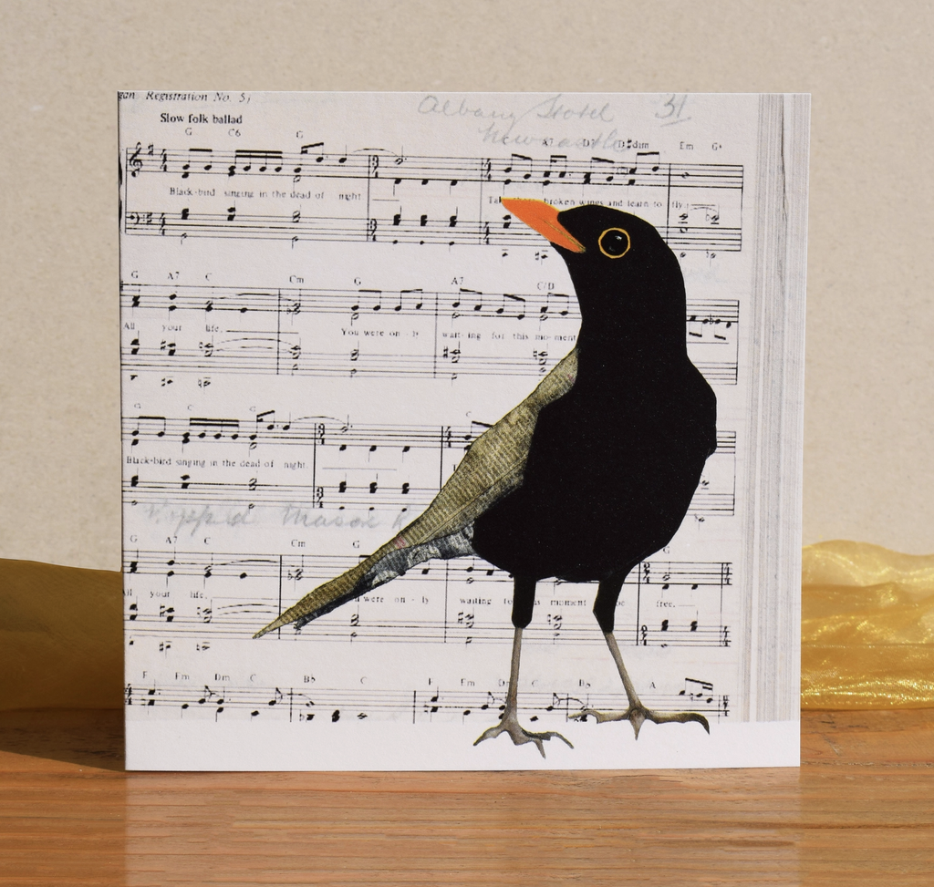 British Birds Collection Greeting Card