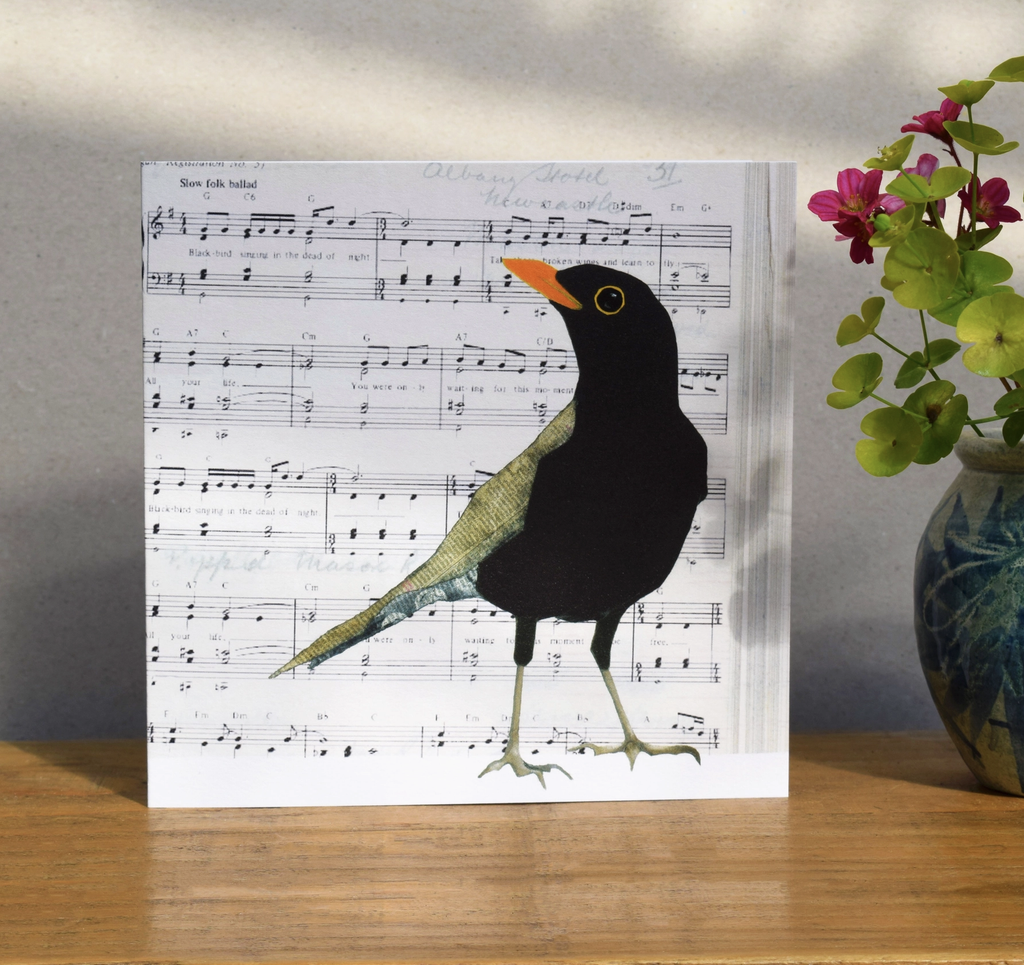 British Birds Collection Greeting Card