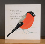 British Birds Collection Greeting Card