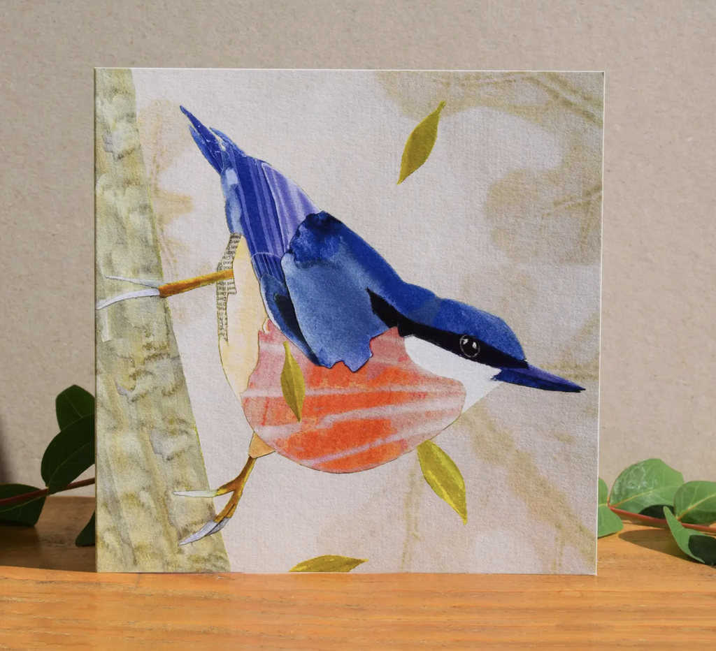 British Birds Collection Greeting Card