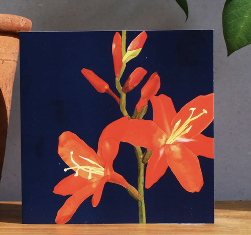 Botanical Collection Greeting Card