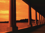 Harman Red ISO 125 135/36 Film