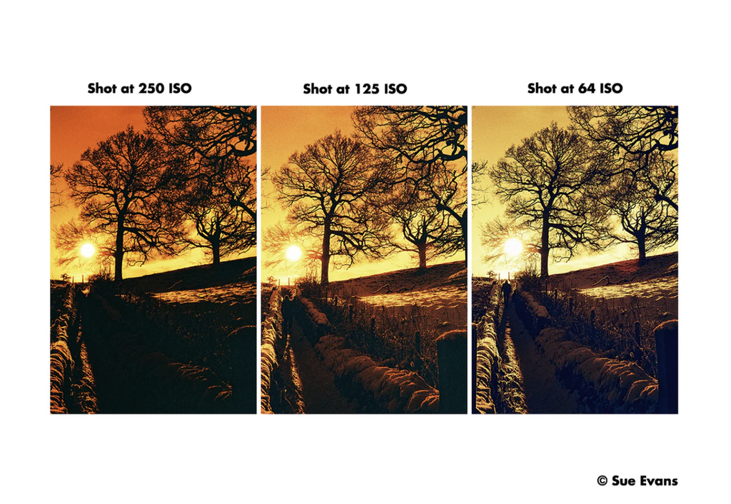 Harman Red ISO 125 135/36 Film
