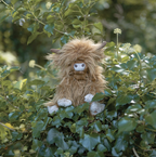 Wrendale 'Gordon' Highland Cow Character - Junior