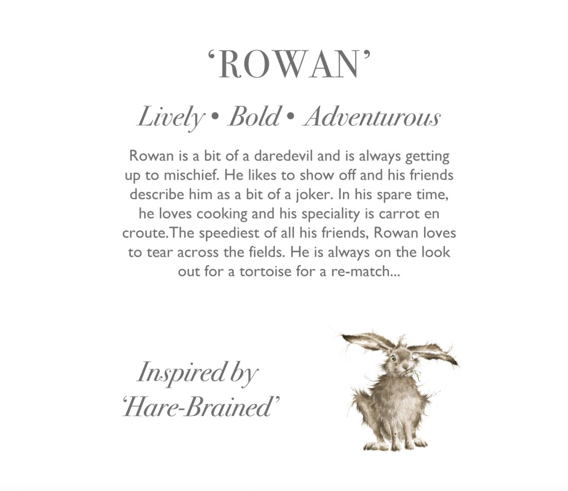 Wrendale 'Rowan' Hare Character Junior