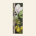 Kew Gardens Magnolia and Pear Hand Cream