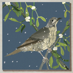 Mistle Thrush Christmas & Winter Card