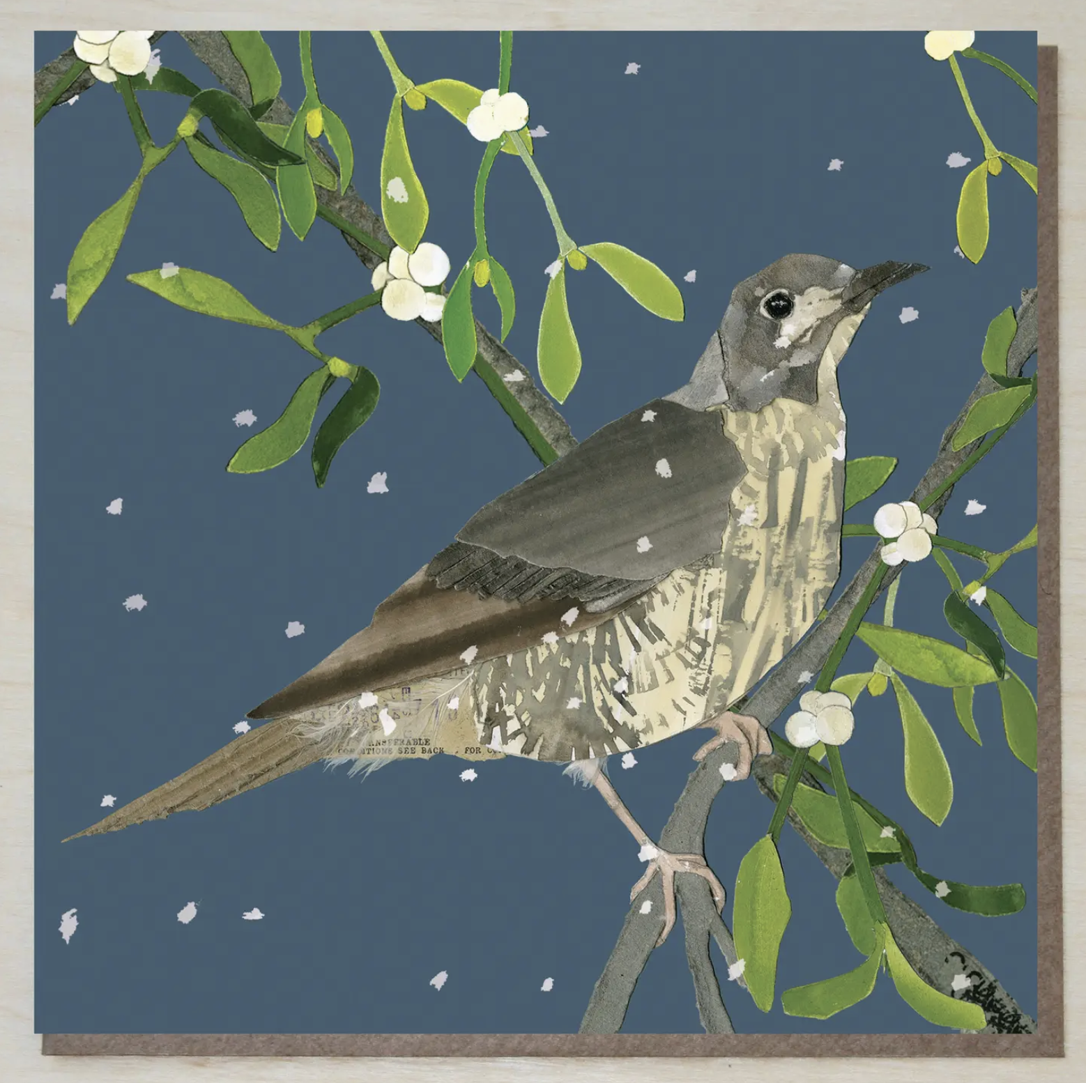 Mistle Thrush Christmas & Winter Card
