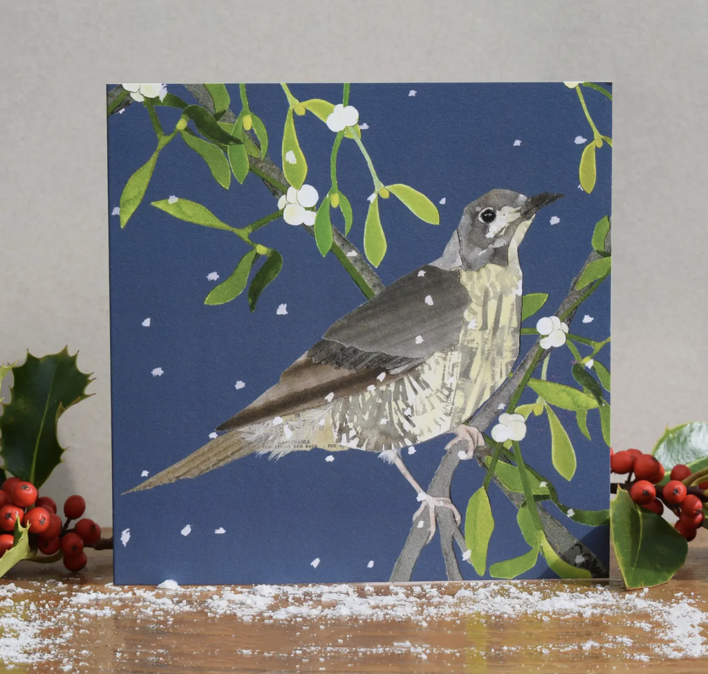 Mistle Thrush Christmas & Winter Card
