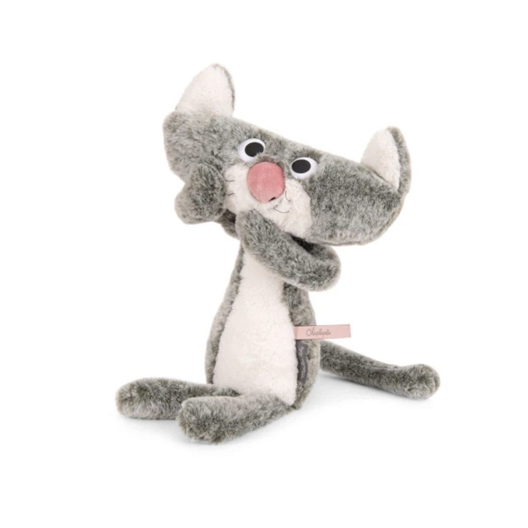 Flat Cat Ecole des Loisirs