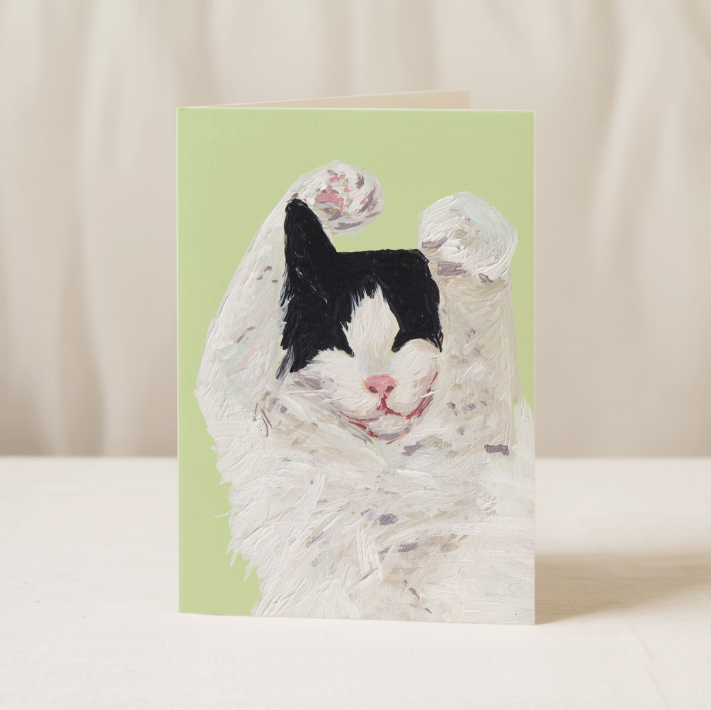 Black and White Long Haired Cat Blank Greetings Card