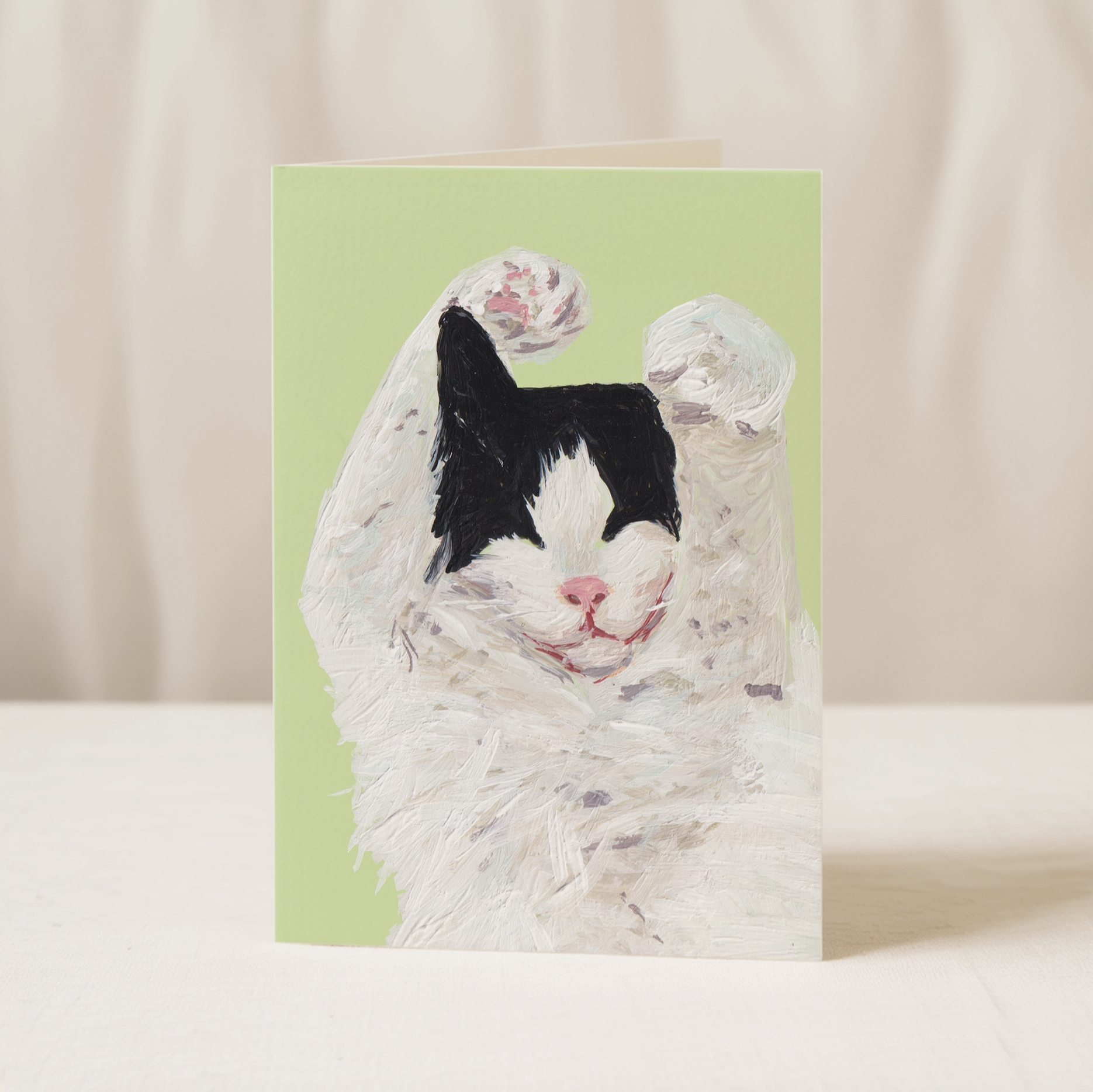Black and White Long Haired Cat Blank Greetings Card