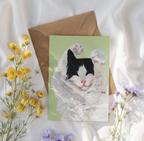 Black and White Long Haired Cat Blank Greetings Card