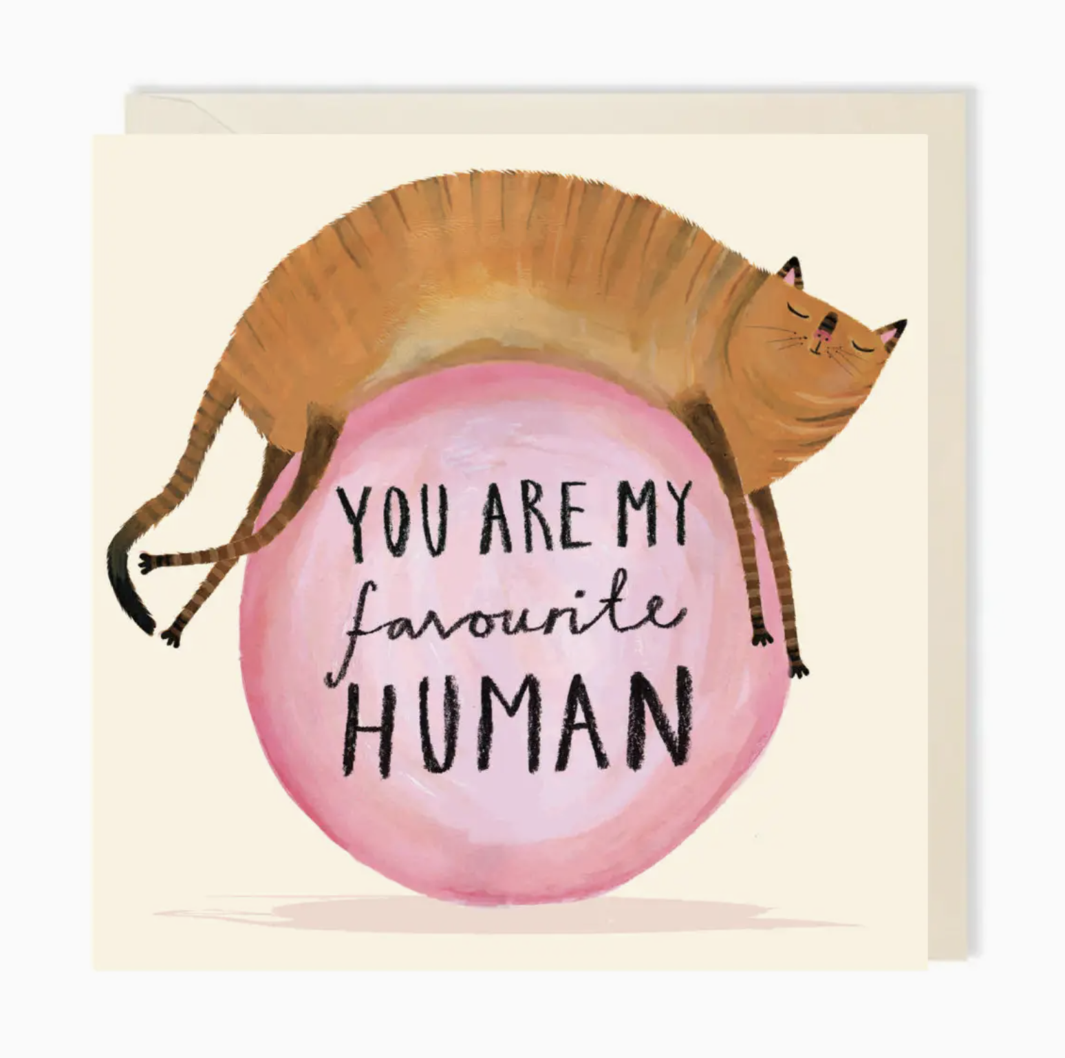 My Favourite Human Cat Greeting Card | Funny Greeting Card