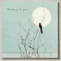 Bird At Dusk Thinking of you Sympathy Greeting Card