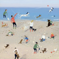 Seaside Doggies Greeting Card