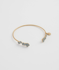 Fable Forget-Me-Not Bangle Golden