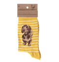 Wrendale 'Little One' dachshund Socks (UK4-7)