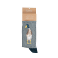 Wrendale 'Guard Duck' Duck Men's Socks (UK7-11)