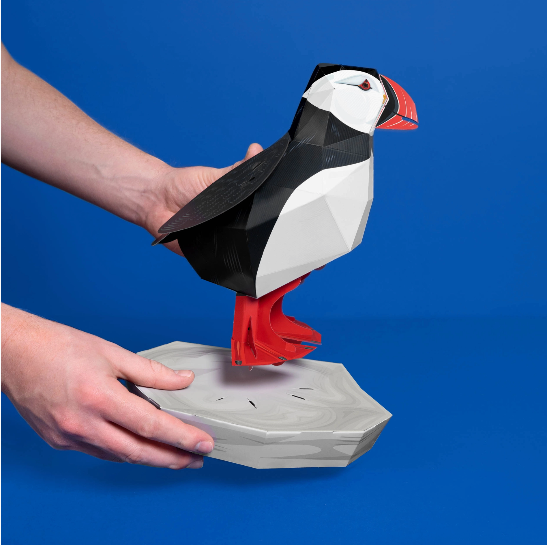 Create Your Own Proud Little Puffin