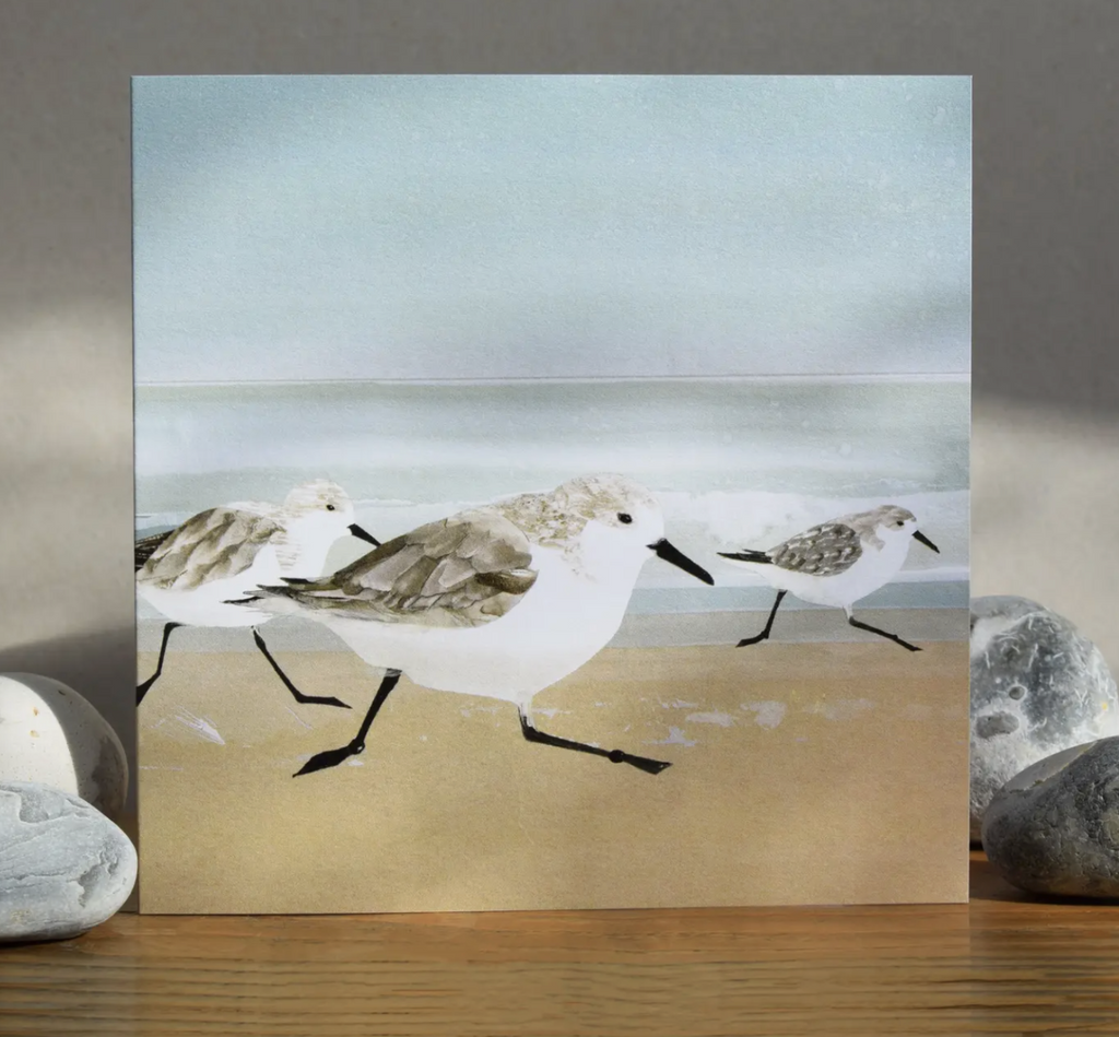 British Birds Collection Greeting Card