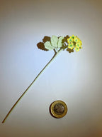 Micro-Crochet Bookmark
