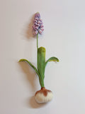 Micro crochet Hyacinth