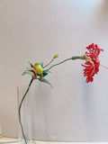 Micro crochet Hibiscus rosa-sinensis