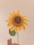 Crochet Hug -Crochet  Fleshy Sunflower