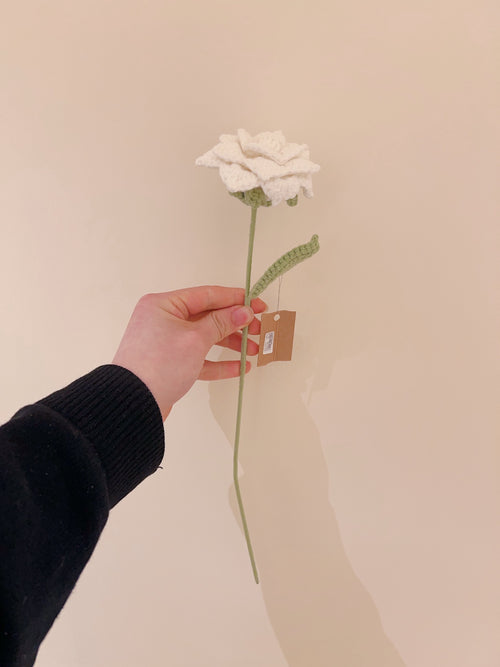 Crochet-Hug - Pointed Rose