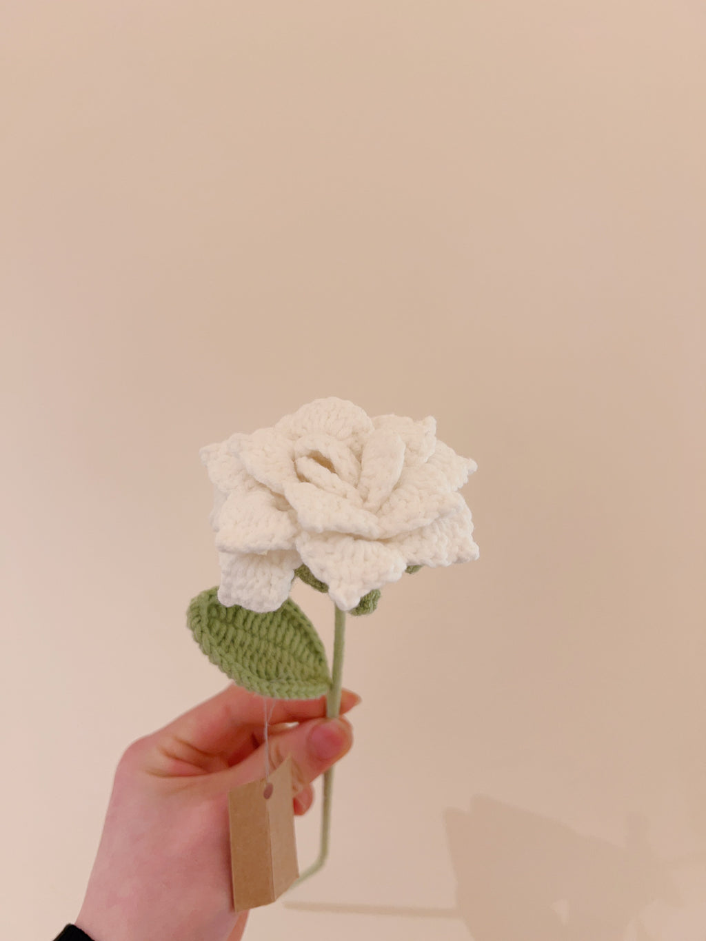 Crochet-Hug - Pointed Rose