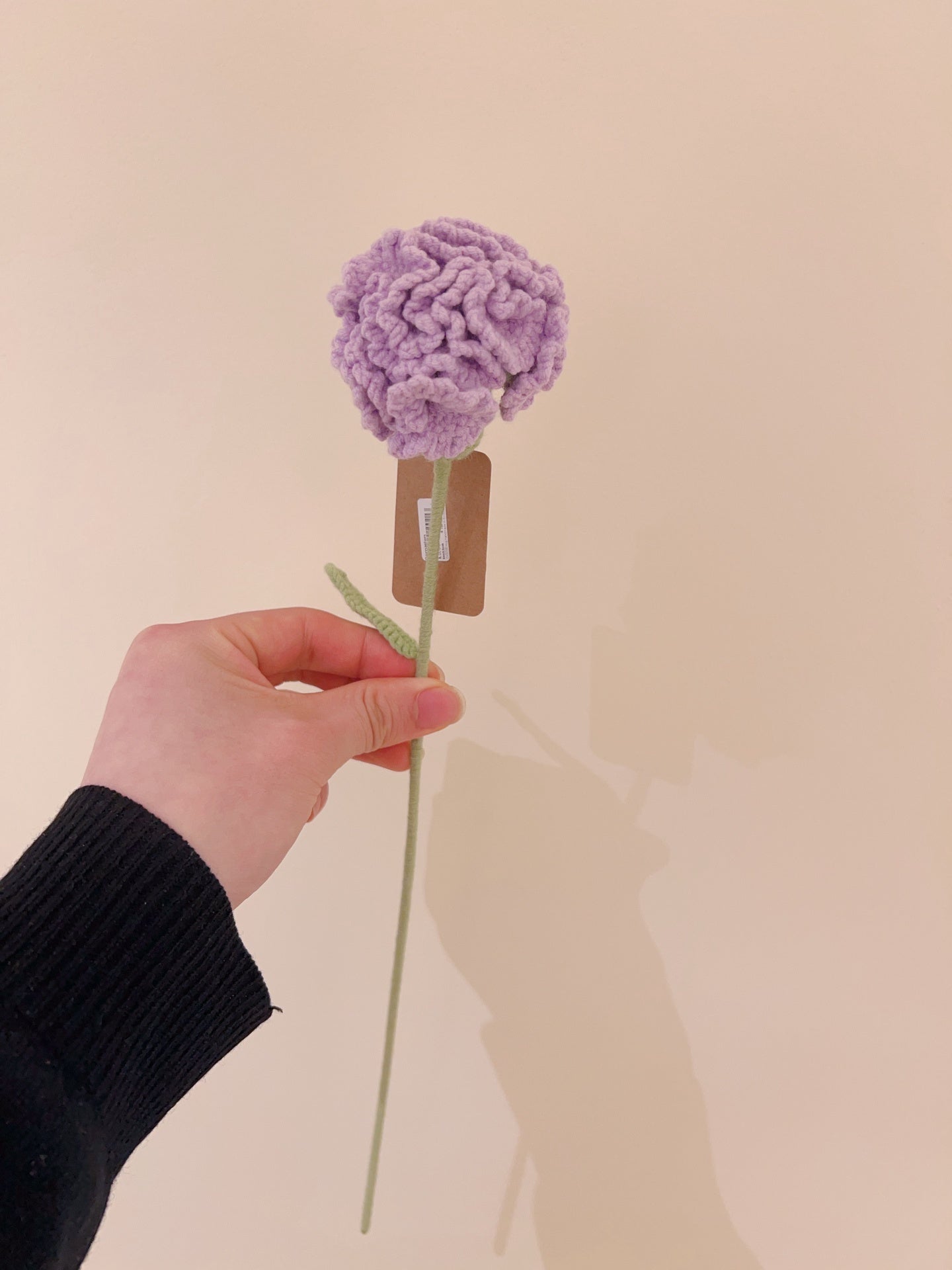 Crochet-Hug Cornation