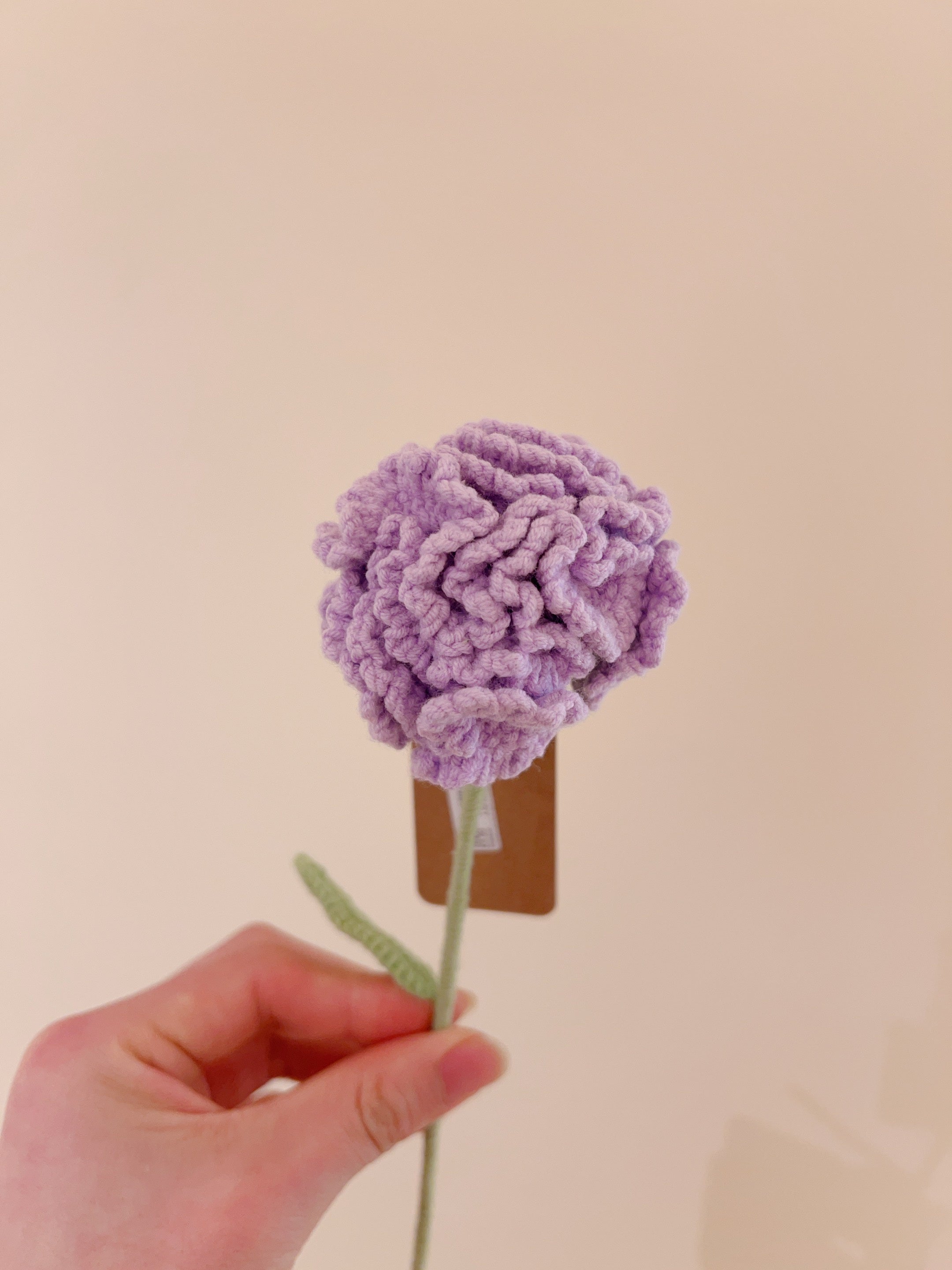 Crochet-Hug Cornation