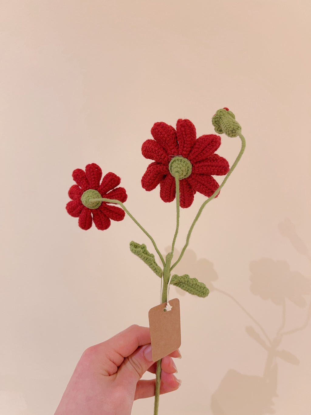 Crochet Hug - Double Headed Zinnia