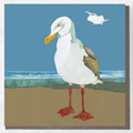 Herring Gull Card (British Birds) Greeting Card